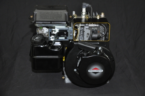 Briggs and Stratton Engine